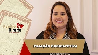 Explica Direito Filiação Socioafetiva  2019 [upl. by Matthieu844]