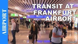 TRANSIT WALK AT FRANKFURT Airport FRA Terminal 1  Connection Flight Transfer Arriving amp Departing [upl. by Victoir]